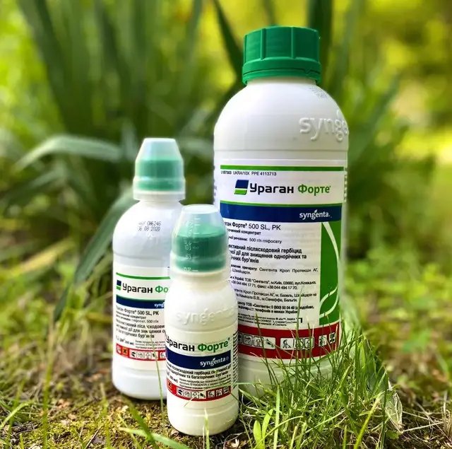 Ураган Форте относится к так называемым инновационным гербицидам. защита растений, препараты для защиты растений, фунгициды, инсектициды, гербициды, обработка растений, защита растений от сорняков, вредителей, болезней