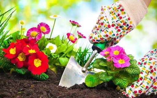 календар, місячний календар, місячний календар на жовтень, місячний календар на жовтень 2023 року