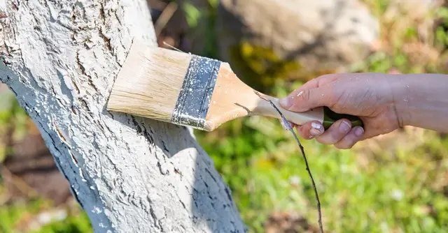 календар, місячний календар, місячний календар на жовтень, місячний календар на жовтень 2023 року