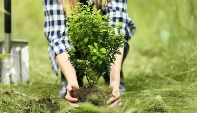 календар, місячний календар, місячний календар на жовтень, місячний календар на жовтень 2023 року