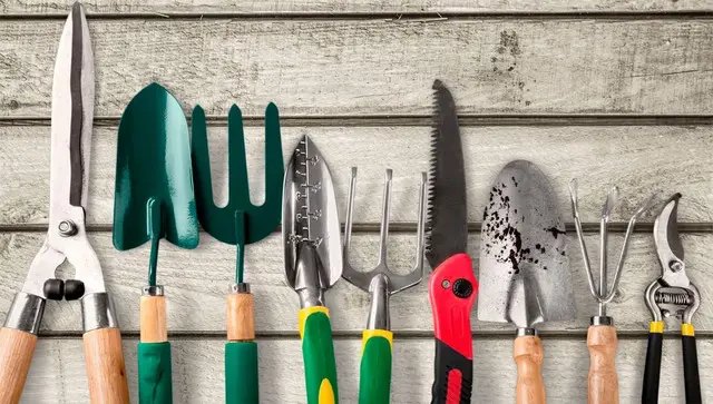 календар, місячний календар, місячний календар садівника, місячний календар городника, місячний календар садівника та городника на листопад 