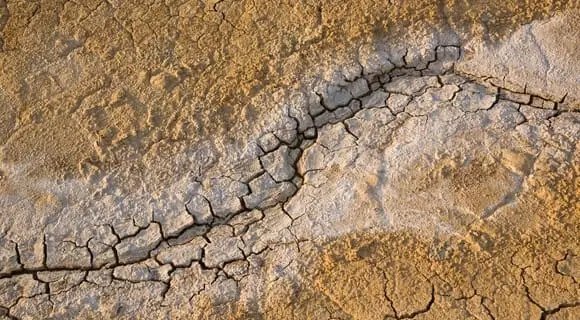 почва, засоленность почвы, признаки засоленных почв, негативные последствия засоленных почв, методы борьбы с засоленными почвами