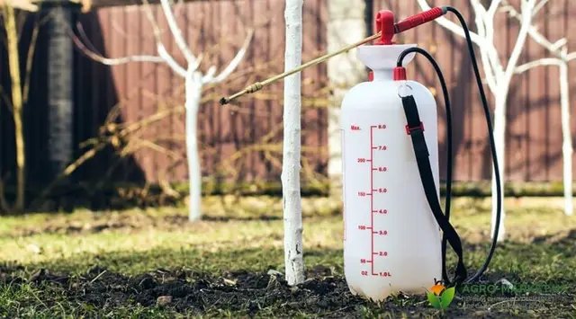 календар, місячний календар садівника, місячний календар городника, місячний календар на грудень