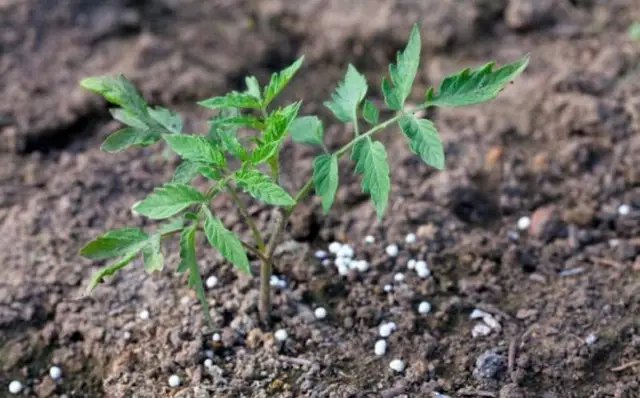 калій, монофосфат калію, що таке монофосфат калію, особливості застосування монофосфат калію, переваги монофосфат калію