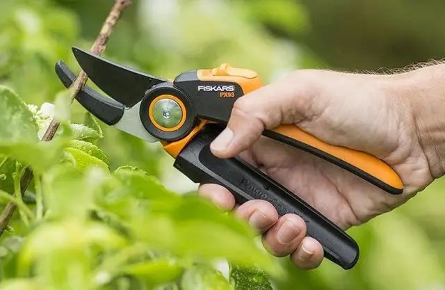 Секатор - це гострий і надійний інструмент, який використовують для обрізки дерев. секатор, догляд за секатором, використання секатора, заточка секатора, заточка секатора в домашніх умовах, гостримо секатор в домашніх умовах