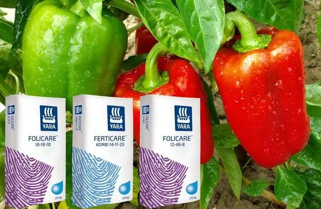 Програма живлення перцю Yara. Внесення добрива для перцю мынеральними добривами перець схема живлення, болгарський перець, добриво Yara, вирощування перцю, підживлення болгарського перцю, програма живлення перцю Yara, внесення добрива Yara для перцю