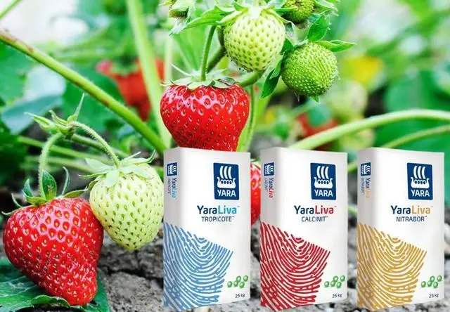 Схема питания и удобрения клубники с помощью препаратов YaraЬшдф