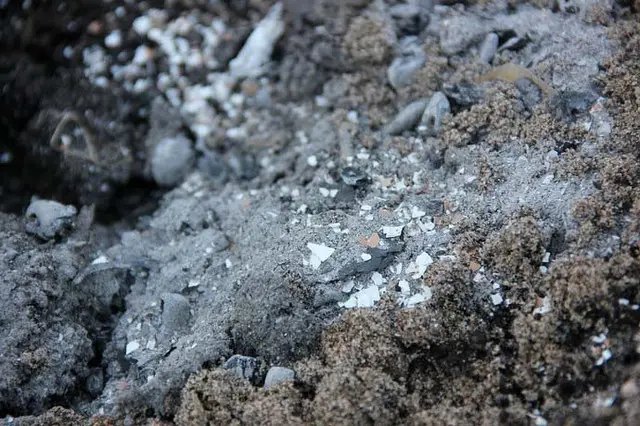 Торф із признаками грибків є безпечний у використанні торф, торф'яний субстрат, цвіль, цвіль на торф'яному субстраті, як боротись з цвіллю на торфі