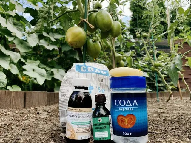 Перекис водню у господарстві слід використовувати згідно з правилами. перекис водню, застосування перекису водню, як його можна застосовувати на городі