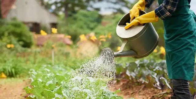 календарь, лунный календарь, лунный календарь садовода, лунный календарь огородника, лунный календарь на май