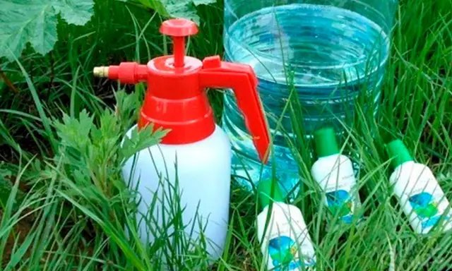 сорняк, сорняк березка, сорняк березка на огороде, как избавиться от бурьяна березка, средства против сорняка березка