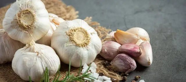 Часник застосовують місцево та як дієтичну добавку для лікування інфекцій. часник, вирощування часника, гниє часник на городі, основні причини гниття часника на городі, що робити, якщо гниє часник на городі