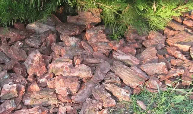 Соснова кора — це справжній скарб для ландшафтного дизайну. соснова кора, використання соснової кори, використання соснової кори у ландшафтному дизайні