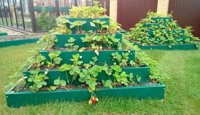 вертикальні грядки, перваги вертикальних грядок, недоліки вертикальних грядок, плюси та мінуси вертикальних грядок