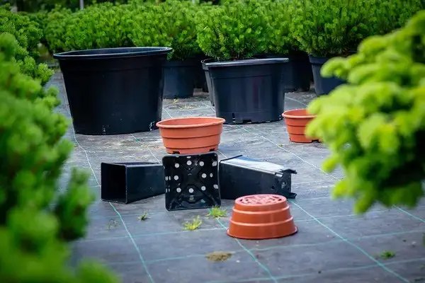 контейнери, контейнери для вирощування розсади, горщики, горщики для розсади, вибір контейнерів для вирощування овочів