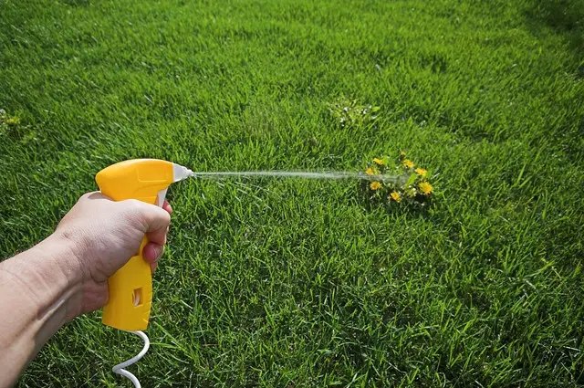 гербициды, использование гербицидов, гербициды от сорняков, виды гербицидов, применение гербицидов