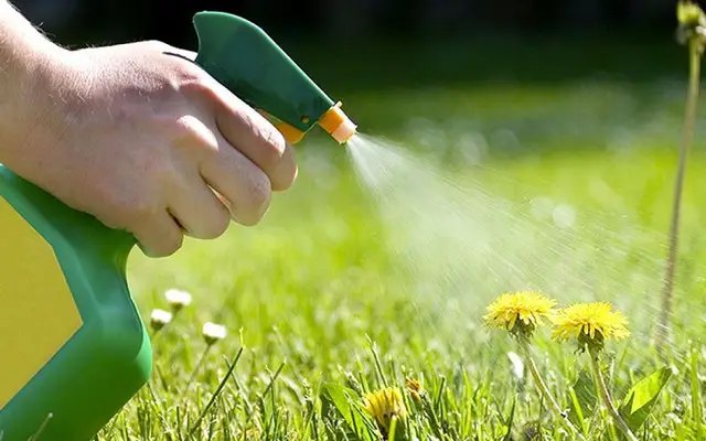 гербициды, использование гербицидов, гербициды от сорняков, виды гербицидов, применение гербицидов