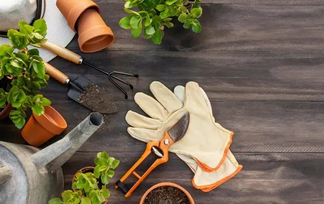 календар, місячний календар, місячний календар садівника, місячний календар городника, місячний календар на січень 2025 року