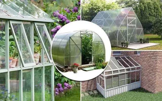 теплиця, тепличний бізнес, бізнес-план тепличного бізнесу, які культури можна вирощувати у теплиці, переваги та недоліки тепличного бізнесу