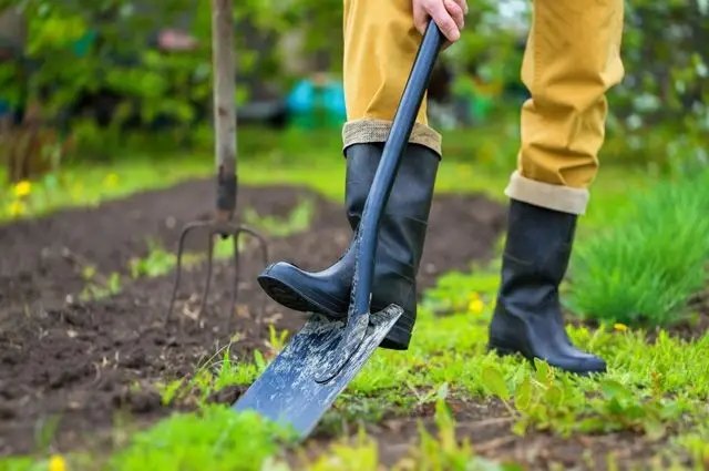 город, перекопування городу, правила перекопування городу, рекомендації щодо перекопування городу