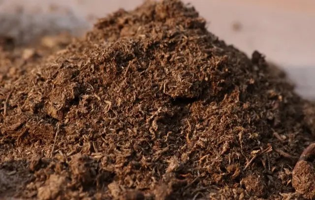 календар, місячний календар, місячний календар садівника, місячний календар городника, місячний календар на лютий 2025 року