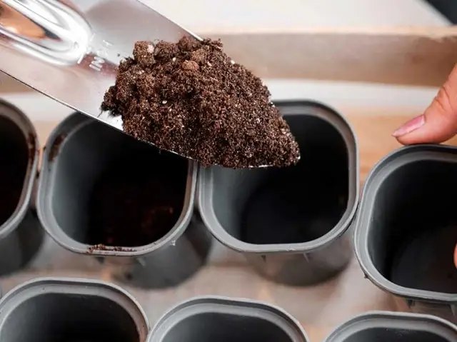 грунт, грунт для квітів, грунт для посадки квітів, підготовка грунту для посадки квітів, готуємо грунт для посадки квітів у горщиках