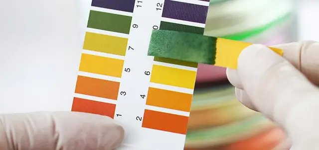 грунт, грунт для квітів, грунт для посадки квітів, підготовка грунту для посадки квітів, готуємо грунт для посадки квітів у горщиках