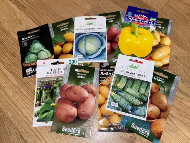 овочі, насіння овочів, вибір насіння овочів, вибір насіння овочів для посіву, нюанси вибору насіння овочів для посіву
