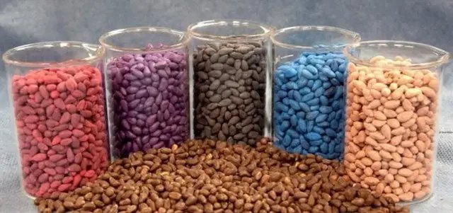 овочі, насіння овочів, вибір насіння овочів, вибір насіння овочів для посіву, нюанси вибору насіння овочів для посіву