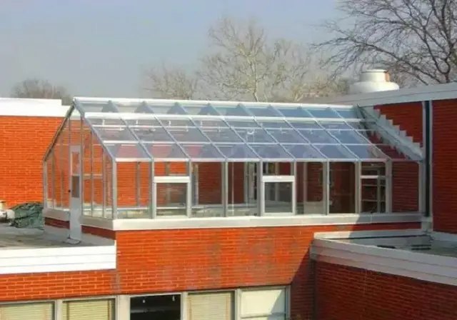 Мансарду можна перетворити на оранжерею, незалежно від кліматичних умов. вирощування рослин, вирощування рослин у теплиці, теплиця, встановлення теплиці, теплиця на даху, цікава ідея - теплиця на даху