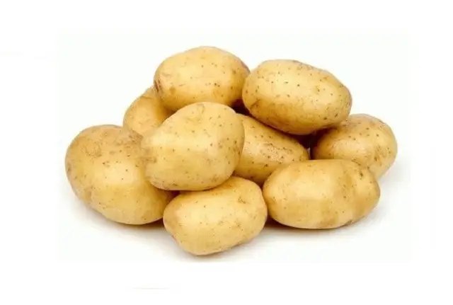 картопля,вирощування картоплі, посадка картоплі, ранні сорти картоплі, топ 10 ранніх сортів картоплі