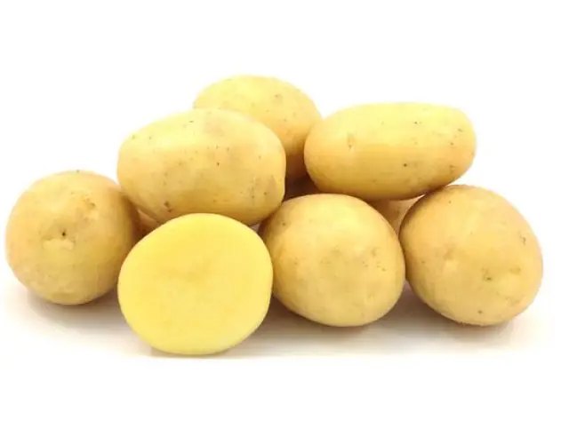 картопля,вирощування картоплі, посадка картоплі, ранні сорти картоплі, топ 10 ранніх сортів картоплі