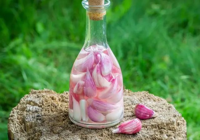 органічне землеробство, вирощування культур без хімії, екологічно чисті овочі без хімії