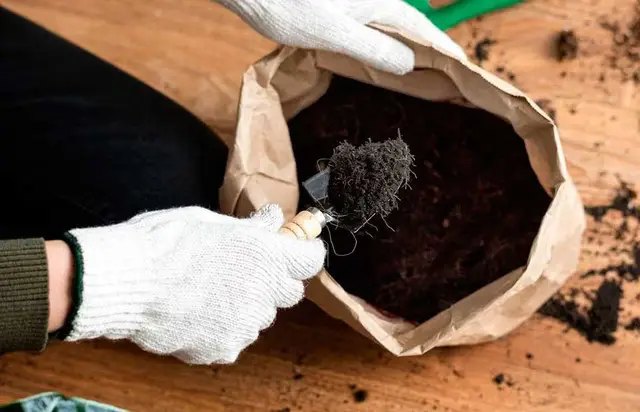 квіти, вирощування балконних квітів, грунт для балконних квітів, грунт для кімнатних рослин, правильний субстрат для кімнатних і балконних квітів