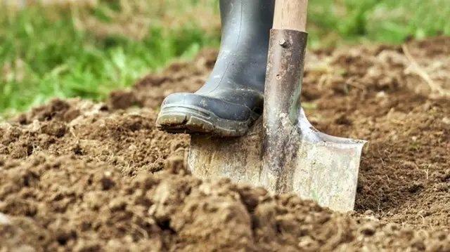 календар, місячний календар садівника, місячний календар городника, місячний календар на червень 2025 року