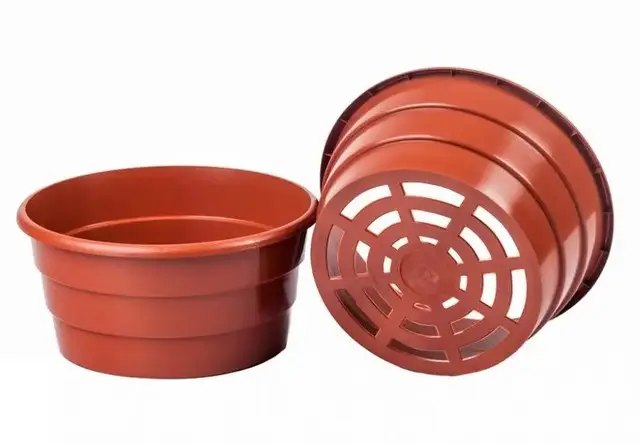 квіти, вирощування квітів, миски для хризантем, вирощування хризантем і мисках, для яких квітів можна використовувати миски для хризантем