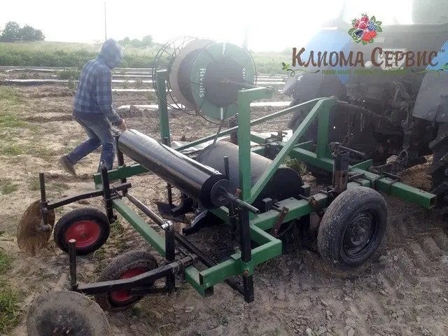 Формування гребенів для посадки малини касетными саджанцями