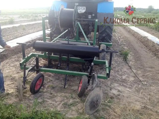 Формування гребенів для посадки малини касетными саджанцями, плантація малини під плівкою