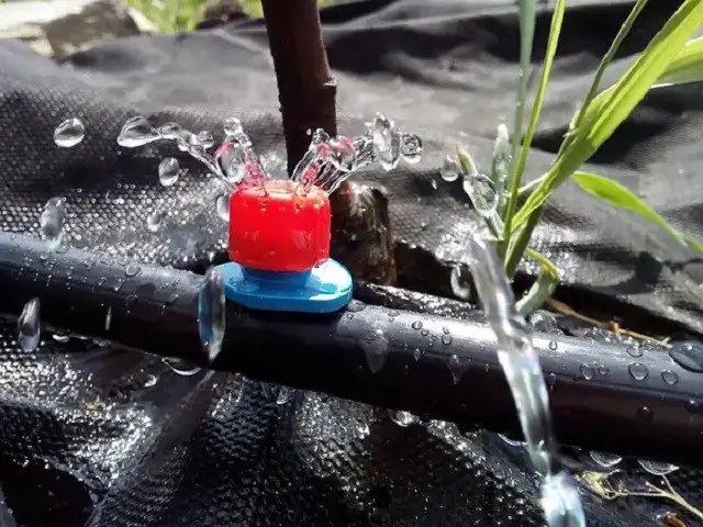 вода, крапельний полив, фільтрація води, фільтрація води для крапельного поливу, чому важливо фільтрувати воду, наслідки відсутності фільтрації