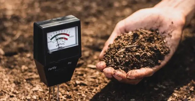 У сільському господарстві підтримання оптимального pH надзвичайно важливе для нормального засвоєння поживних речовин рослинами. pH, показник pH, що таке показник pH, як вимірюється показник pH, для чого використовують показник pH