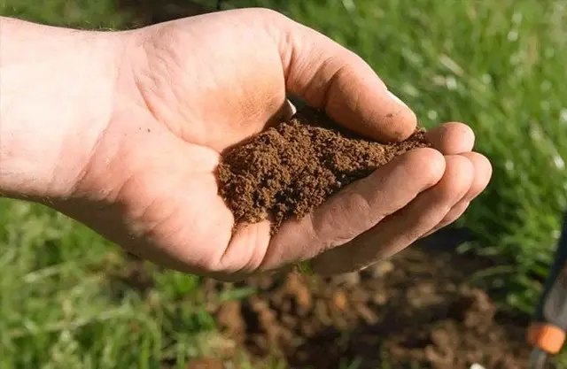 почва, тип почвы, определение типа почвы, определение типа почвы на участке, методы определения типа почвы на своем участке