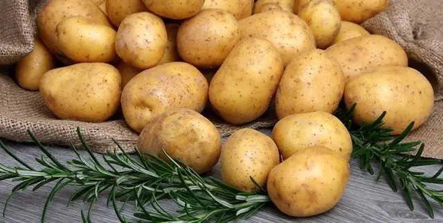 картофель, семенной картофель, сорта картофеля семенного, выращивание картофеля, посадка семенного картофеля