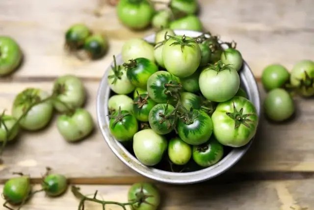 помидоры, зеленые помидоры, использование зеленых помидоров, квашеные зеленые помидоры, рецепты квашеных зеленых помидоров