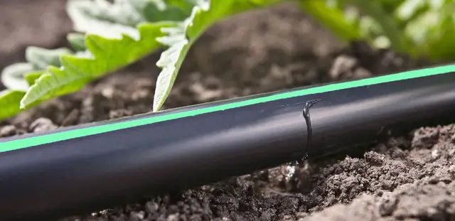 Як вибрати крапельну стрічку для поливу рослин? Особливості та різновиди крапельної стрічки Витрати води крапельної стрічки, як вибрати кращу крапельну стрічку
