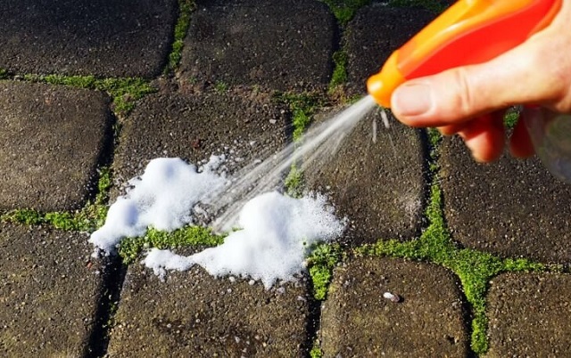 Натуральные способы борьбы с сорняками