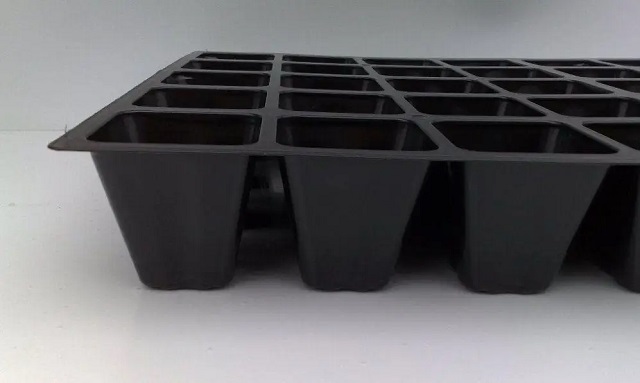 Розмір — це головний критерій вибору касети для розсади.