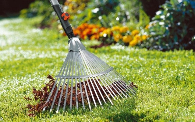 Это время лучше уделить уходу за газоном.