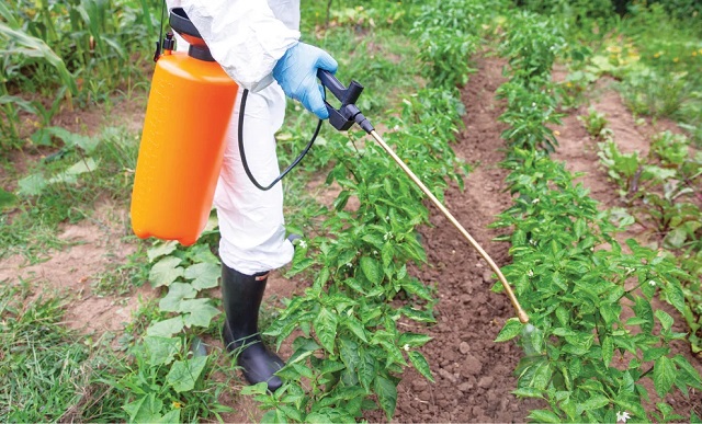 Как и когда производить обработку гербицидами для максимального результата Как и когда производить обработку гербицидами для максимального результата