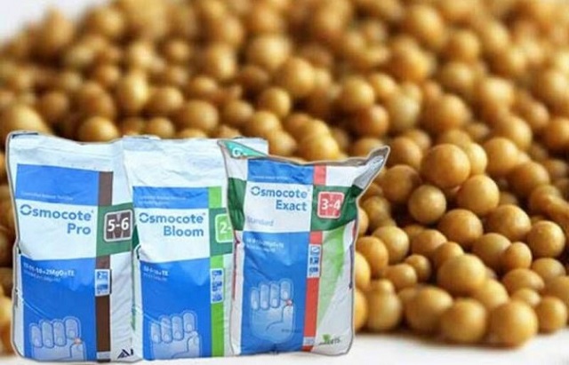 Правильное питание – один из ключевых факторов успешного выращивания любых культур. Правильное питание – один из ключевых факторов успешного выращивания любых культур.