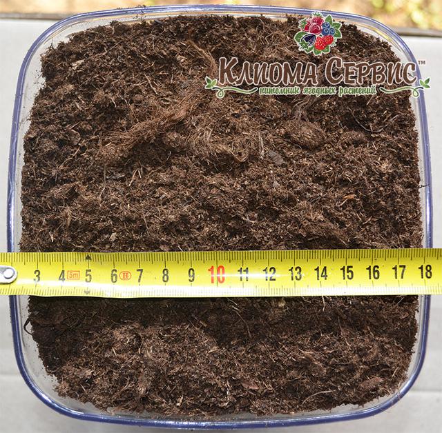 Торф верховой нейтральный 3500 литров купить в Украине